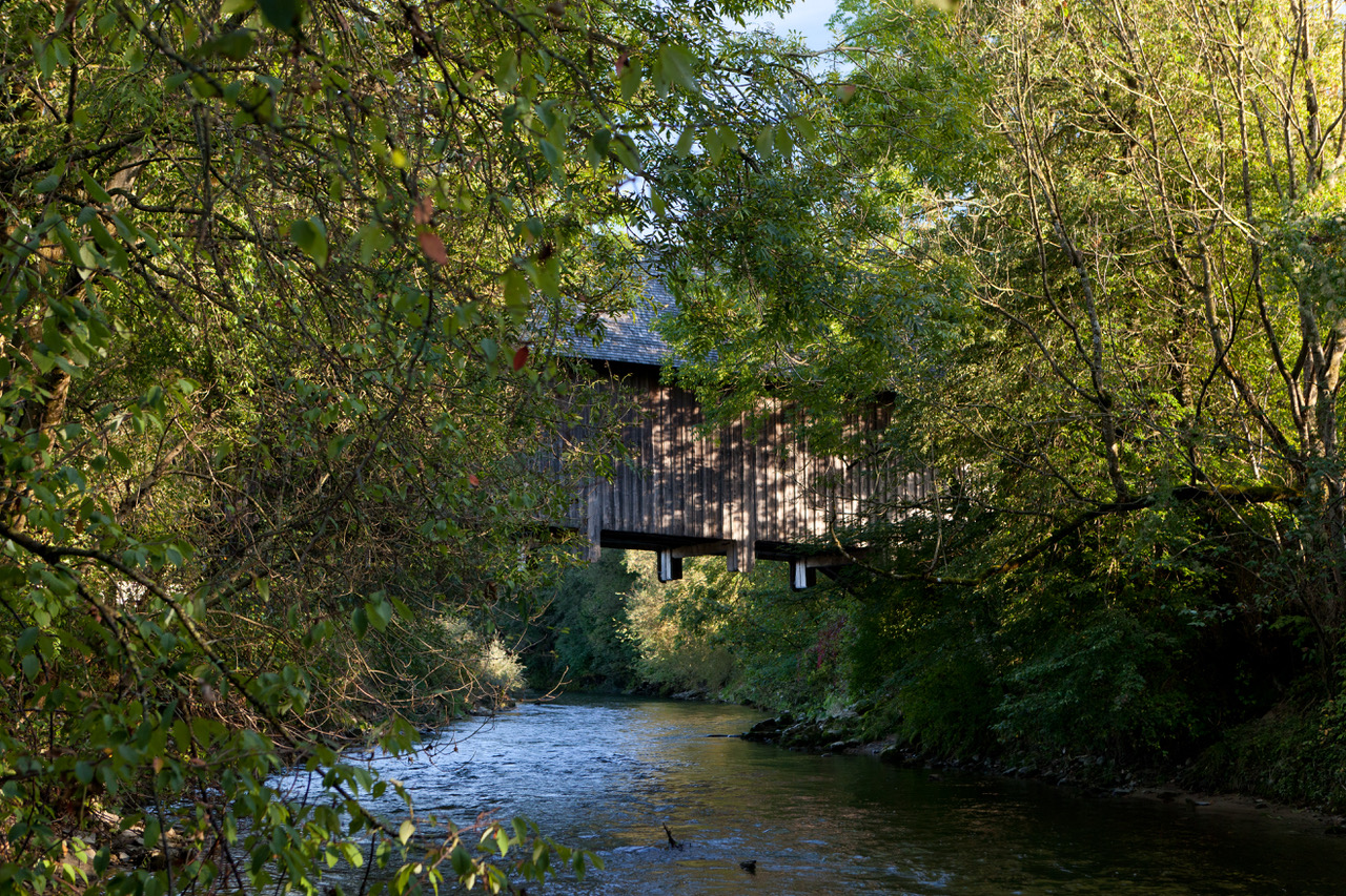 Unsere Vorstandschaft